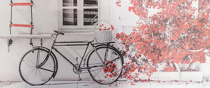 quadro su stampa bicicletta vintage